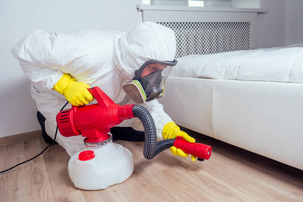 Emergency Pest Control Services in Kingsburg, CA